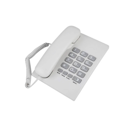 Telefono Leboss zapatilla ts300