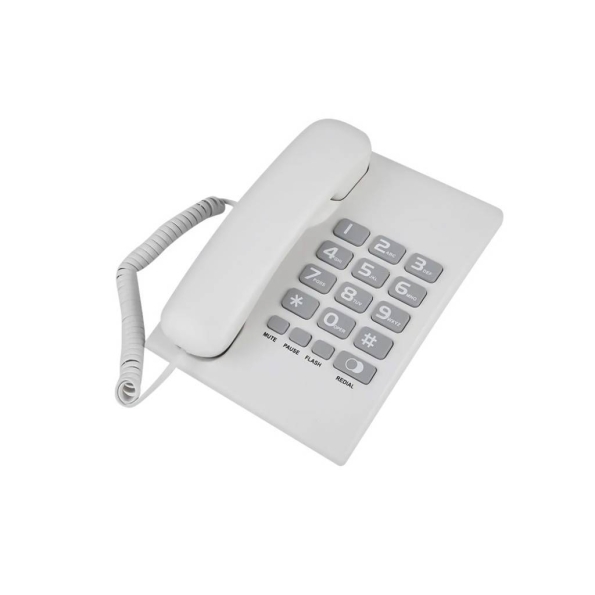 Telefono Leboss zapatilla ts300